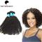 Kinky σγουρή φυσική μαύρη βραζιλιάνα ύφανση ανθρώπινα μαλλιών της Virgin χωρίς χημική ουσία προμηθευτής