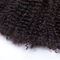 Ο βαθμός βραζιλιάνα kinky σγουρά ανθρώπινα μαλλιά 5A 6A 7A ράβει στο νάυλον για την επέκταση προμηθευτής