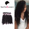 Kinky σγουρό βιζόν 100% Afro περουβιανές επεκτάσεις ανθρώπινα μαλλιών για τις μαύρες γυναίκες προμηθευτής